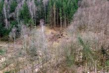 Nähe Lahnbach - am Wanderweg L - Nähe zum Lehmberg