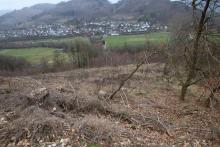 &quot;Hohedell&quot; und angrenzend - oberhalb &quot;Entenbergsbrunken&quot; - an den Wanderwegen A6 / L / A4 + Lahnwanderweg - Entenberg N/O