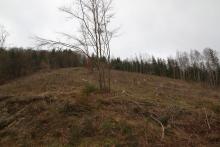 &quot;Hohedell&quot; und angrenzend - oberhalb &quot;Entenbergsbrunken&quot; - an den Wanderwegen A6 / L / A4 + Lahnwanderweg - Entenberg N/O