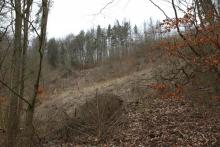 Entenberg Nordflanke - zwischen dem Wanderweg A 4 / Lahnwanderweg und Wanderweg L