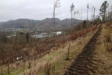 zwischen Schützenplatz und Schafsberg - unterhalb Werner-Schmidt-Weg - von Ost über Nord nach West und umgekehrt