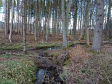 Nicht einmal der Bachlauf wurde geschont