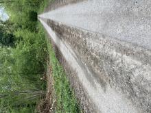 Ölschaden auf dem Waldweg