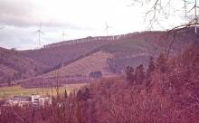 Nordseite Hasseln - am Wanderweg L2 - Bad Laasphe-Süd 23
