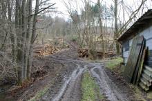 Flur 7 &quot;Ungeheuer Loch&quot; - an der L903 Puderbach - Dodoll - teilweise Biotop §30 - Landschaftsschutzgebiet - Ökokontomaßnahme teilweise