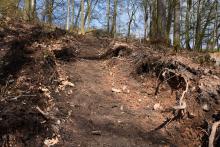Zerstörter Waldboden FFH Gebiet Zschopautal