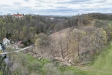 Kahlschlag im FFH-Gebiet Zschopautal