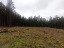 Koordinaten50°47'5,6&quot;N, 13°06'40,6&quot;