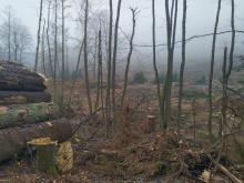 Auf Kollateralschäden wird keine Rücksicht genommen