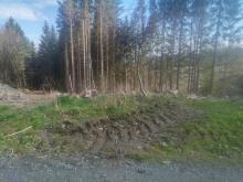 Der Erlenbach verläuft rechts des Standortes