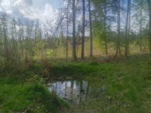 Blick in Richtung Westen