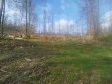 Blickrichtung Nordwesten am Osthang