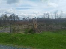 kurz vor der Kuppe / Blickrichtung Süden