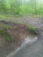 Massives Einfahren in den Wald mit schwerem Gerät / Kanalführung (s. o.)