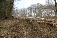 Niederlaasphe Ost/Süd - zwischen &quot;Vor der Hardt&quot; und &quot;Hinter der Hardt&quot; - oberhalb des Weges - Flurstück 23