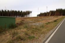 K53 - Am Heu links - zwischen Sassenhausen und Weidenhausen - am Wanderweg W3 / W4