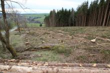 K53 - Am Heu links - zwischen Sassenhausen und Weidenhausen - am Wanderweg W3 / W4