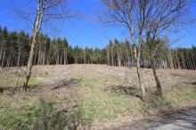 Unterstes Mittelköpfchen - direkt an der K53 zwischen Bad Laasphe und dem Harfeld - FFH und Landschaftsschutzgebiet