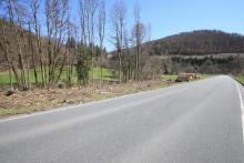 direkt am Weisenbach - an der L718 nördlich Bad Laasphe in Richtung Sassenhausen - 3-faches Schutzgebiet