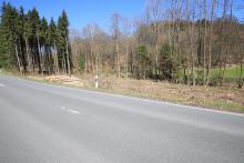 direkt am Weisenbach - an der L718 nördlich Bad Laasphe in Richtung Sassenhausen - 3-faches Schutzgebiet