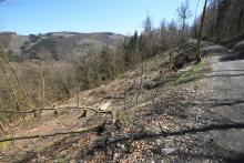N/O Reiserberg - am Wanderweg L6 gelegen - vierfachem Schutzgebiet - Nähe einem Andachtsplatz vom Friedwald