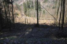 S/O Gebranntes Köpfchen - nördlich Alte Burg - am Wanderweg L6 - 3-faches Schutzgebiet