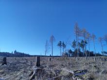 Blickrichtung Westen