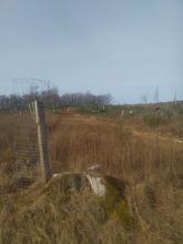 Fräsen von breiten Schneisen auf sich gerade erholendem Gebiet
