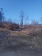 Wiederbefahrung bereits geschädigter Fläche