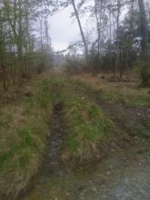 Schneise durch Einfahren bei Nässe mit schwerem Gerät