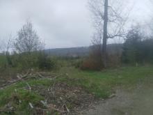 Blickrichtung Südosten