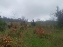 Blickrichtung Süden (oberhalb der Wintermühle)