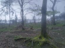 Westlich der Wintermühle