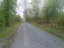 massive Verbreiterung des Weges mit erheblichen Kollateralschäden