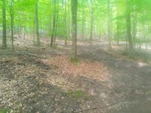 Dazu muss man wohl nichts sagen...