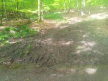 Einfahren trotz nassen Bodens