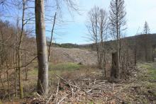 kleine Bergkuppe - Fuß vom &quot;Eschelbach&quot; - an der K53 Bad Laasphe  Richstein - dreifaches Schutzgebiet