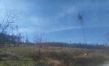 oberhalb Obernhains, Blickrichtung Südwesten