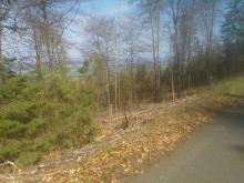 Eingriff in verbliebenem Wald