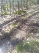 massive Einfahrung und Schädigung des Bodens