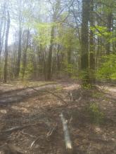 weitere Bodenschädigung