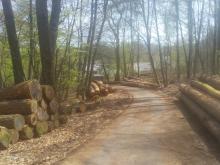 Bachlauf verläuft rechts des Weges