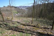 S/O Schloß Wittgenstein - Wanderweg vom/zum Schloß X2-X18-Raute2-L3-L6 - östlich/unterhalb "Schnittelsberg"