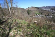 S/O Schloß Wittgenstein - Wanderweg vom/zum Schloß X2-X18-Raute2-L3-L6 - östlich/unterhalb "Schnittelsberg"