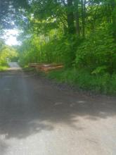 Für die vergleichsweise geringe Menge Holz wurden die groben Wegeschäden verursacht.