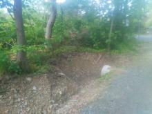 Warum nicht auch gleich einen Kanal baggern und erhebliche Wurzelschäden verursachen?!...