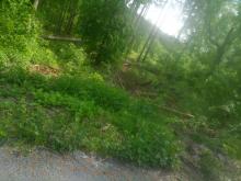 Man beachte die umfangreichen Kollateralschäden am Bestand im Vergleich zu der doch geringen Ernte.