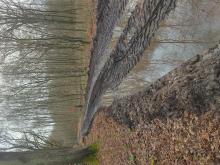 Harvester hinterlässt tiefe  Fahrrinnen