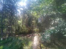 Dokumentation Arbeiten 17.06.2023