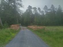 Dokumentation Holzernte 19.06.2023